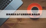 腋臭病因及治疗进展图表图,腋臭起因